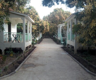 Gir Garjna Cottages